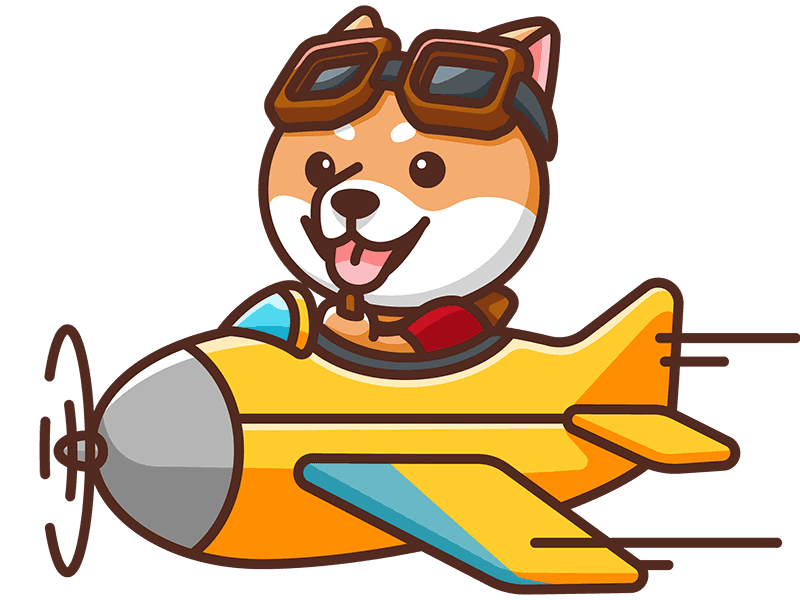 旺财狗用VPN上网